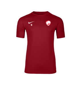 Nike Academy II Maillot Rouge C657