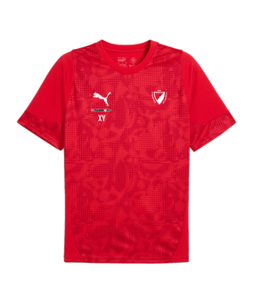 PUMA Trikot Rot F01
