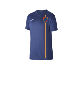 Nike Park VII Trikot kurzarm Kids Blau F410