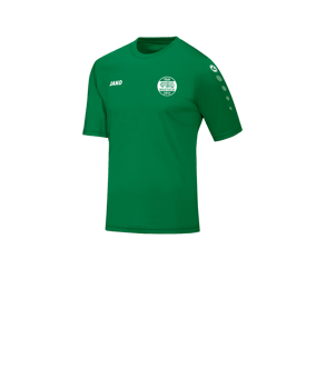 JAKO Team Trikot kurzarm Kids Grün F06