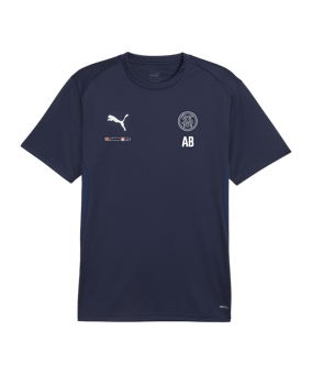 PUMA teamGOAL Trikot Blau F06