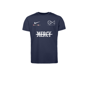 Nike Park VIII Trikot Kids Blau F410