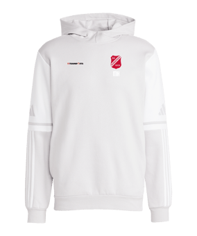 adidas Squadra 25 Hoody Grau