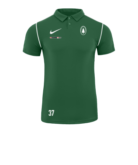 Nike Park 20 Poloshirt Grün F302