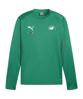 PUMA teamGOAL Training Sweatshirt Grün F05