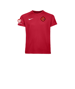 Nike Park VIII Trikot Set Kids Rot F657