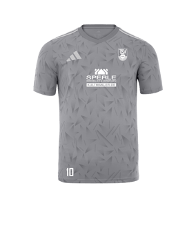 adidas Team Icon 25 Trikot Grau