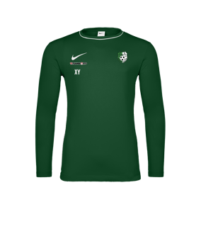 Nike Park 26 Longsleeve Grün F302