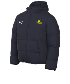 Veste tout temps Nike TF Academy Pro 24 bleue F451 