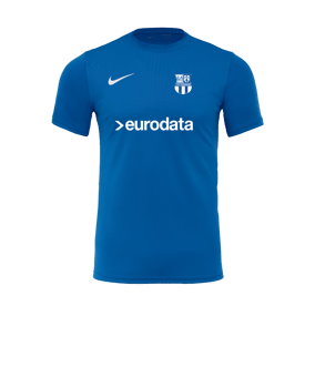 Nike Park VII Trikot kurzarm Blau F463