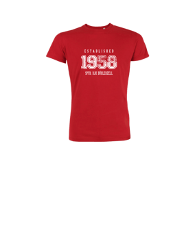 Merch Mini Creator 2.0 T-Shirt Kids Red | #established