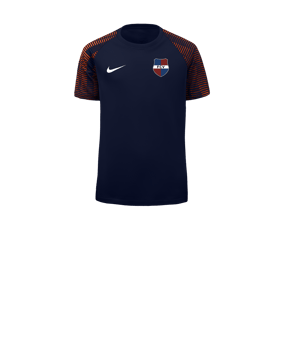 Nike Academy Trikot Kids Blau Rot F411