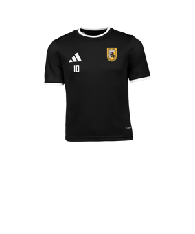 adidas Entrada 26 Trikot Kids Schwarz