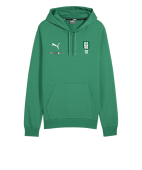 PUMA teamGOAL Casuals Hoody Grün F05