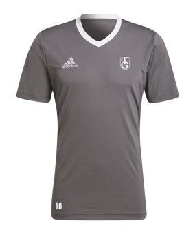 adidas Entrada 22 Trikot Grau Weiss