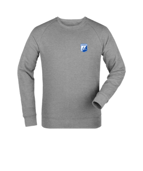 Merch Roller Sweatshirt Heather Grey | #logo4c