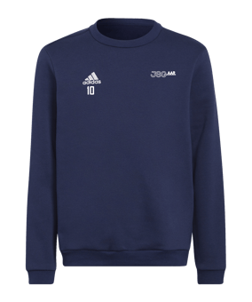 adidas Entrada 22 Sweatshirt Kids Blau