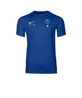 Nike Park VIII Maillot Bleu C463