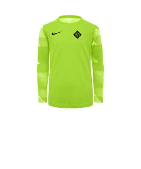 Nike Park IV TW-Trikot langarm Kids Gelb F702
