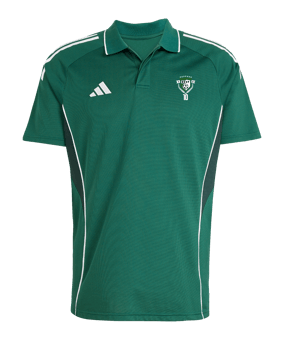 adidas Tiro 25 Competition Polo vert 