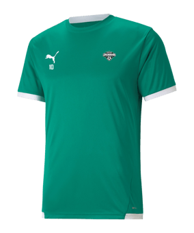 PUMA teamLIGA Trikot Grün F05