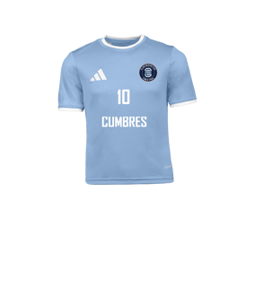adidas Entrada 26 Camiseta Niños Azul 