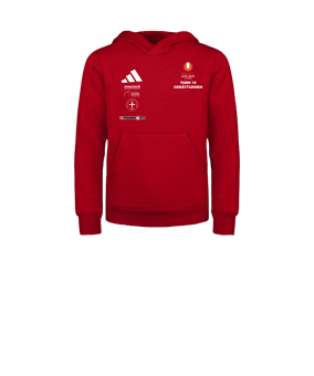 adidas Entrada 26 Hoody Kids Rot