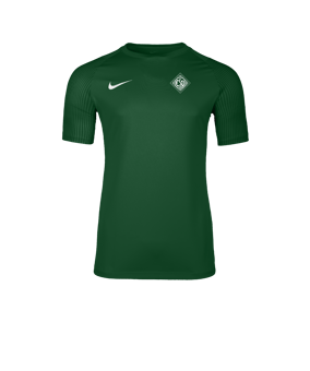 Nike Academy II Trikot Grün F302