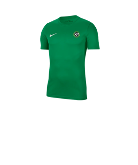 Nike Park VII Trikot kurzarm Kids Grün F302