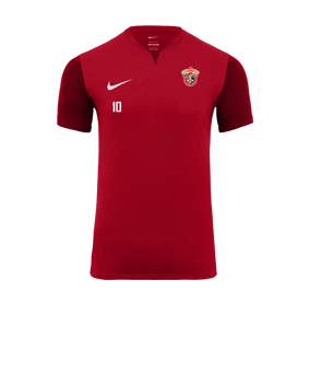 Nike Trophy V Trikot Rot F657