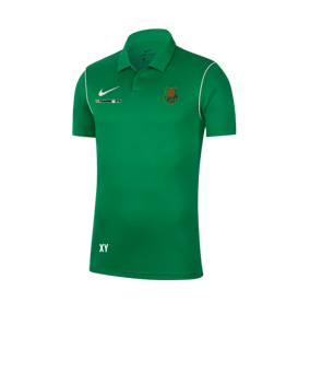 Nike Park 20 Poloshirt Grün F302