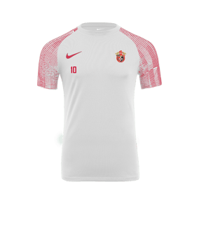 Nike Academy Trikot Weiss Rot F100