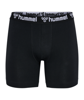 Hummel 2-Pack Underwear Shorts Schwarz F2001