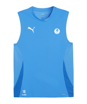 PUMA teamGOAL Tanktop Blau Weiss F02