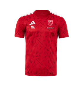 adidas Team Icon 25 Trikot Rot