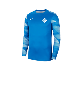 Nike Park IV TW-Trikot langarm Kids Blau F463