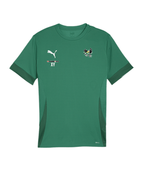 PUMA teamGOAL Matchday Trikot Grün Weiss F05