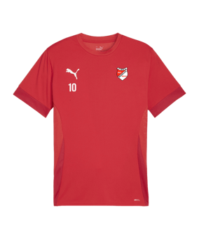 PUMA teamGOAL Matchday Trikot Rot Weiss F01