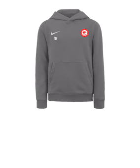 Sweat à capuche en polaire Nike Park 20 enfants Gris blanc F071