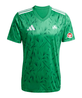 adidas Team Icon 25 Trikot Grün
