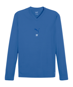 PUMA TeamGOAL Baselayer Longsleeve Blau F02
