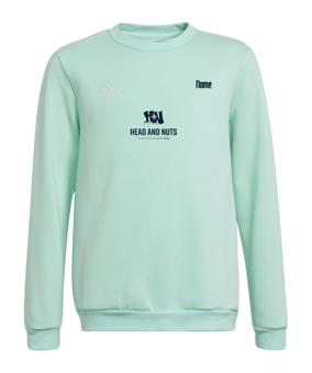 adidas Entrada 22 Sweatshirt Kids Türkis