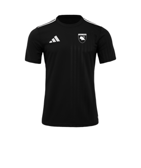 adidas Campeon 25 Trikot Schwarz