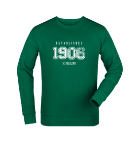 Merch Roller Sweatshirt Bottle Green FC224