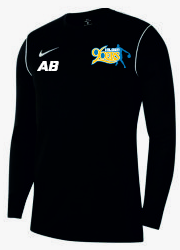 Nike Park 20 Sweatshirt Kids Schwarz F010