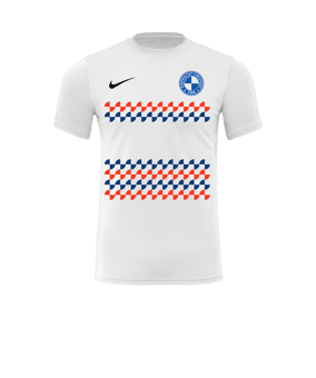 Nike Park VII Trikot kurzarm Weiss F100