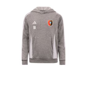 adidas Tiro 24 Hoody Kids Grau Weiss