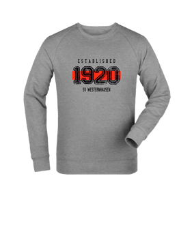 Merch Roller Sweatshirt Heather Grey | #established