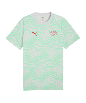 PUMA SFV Schweiz FtblCulture T-Shirt Grün F19 - gruen