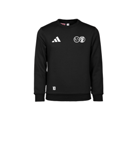 adidas Entrada 26 Sweatshirt Kids Schwarz